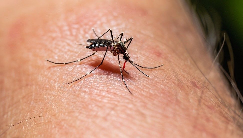 30 casos de dengue en el Departamento Unión